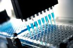 Murrieta, CA Marijuana Testing Lab Insurance